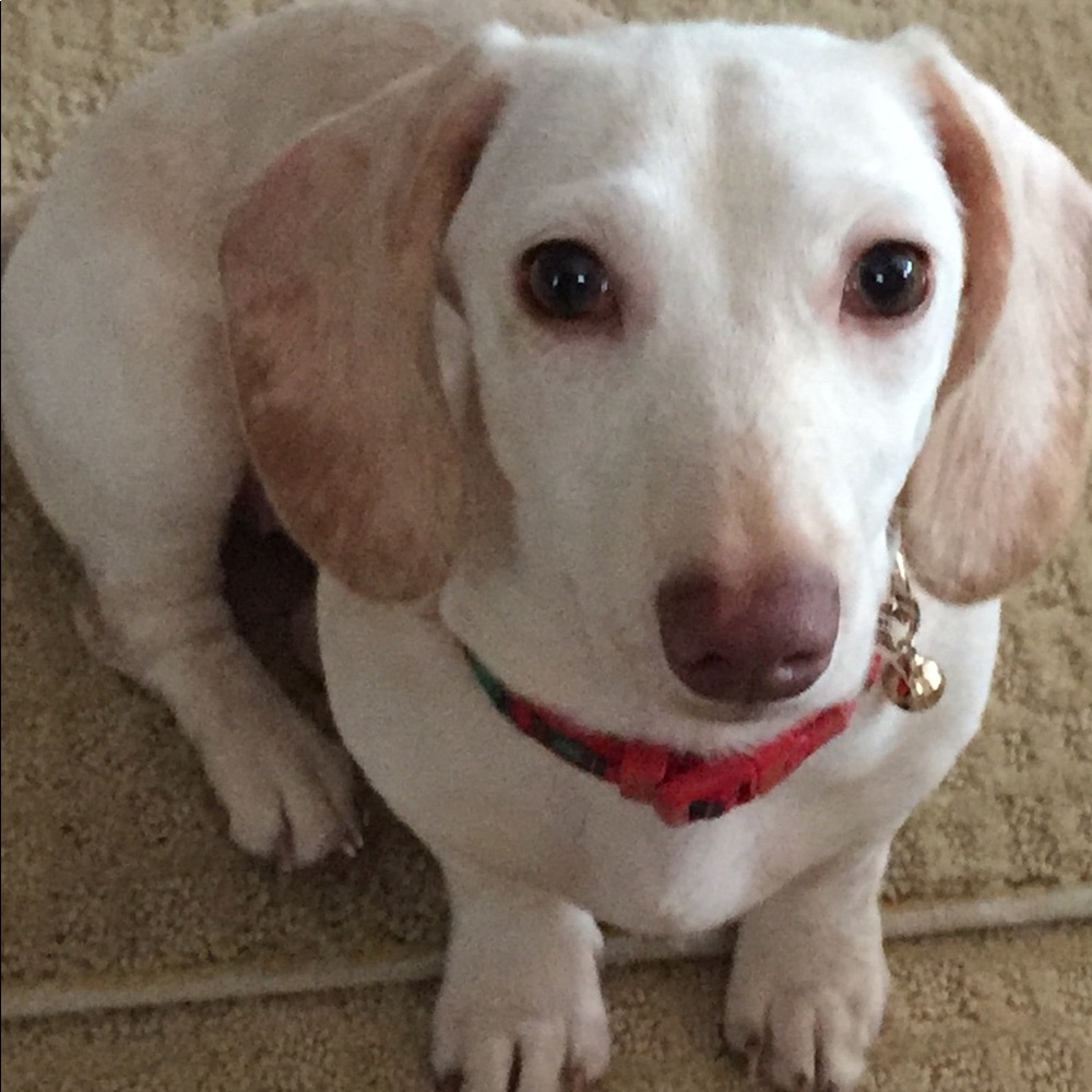 Meet your Posher, Michaelle